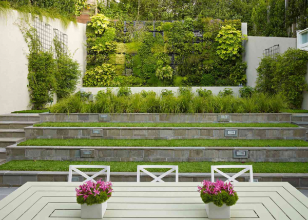 Taman vertikal dengan tanaman menjalar di dinding rumah